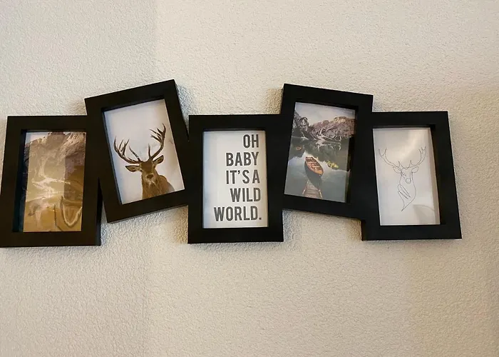 Szálloda Schwarzer Adler 3*