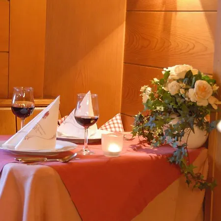 施瓦泽阿德勒酒店