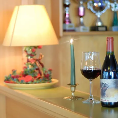 施瓦泽阿德勒酒店