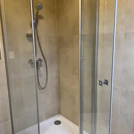 施瓦泽阿德勒酒店 酒店