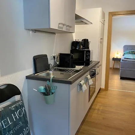 施瓦泽阿德勒酒店