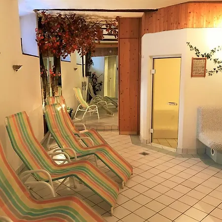 施瓦泽阿德勒酒店 3* 佩特诺伊阿尔贝格