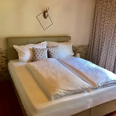 施瓦泽阿德勒酒店 酒店 佩特诺伊阿尔贝格