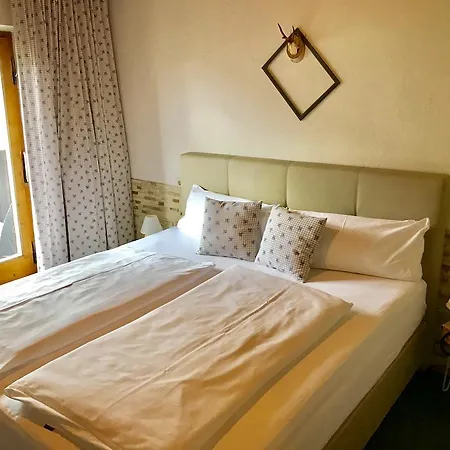 施瓦泽阿德勒酒店 酒店