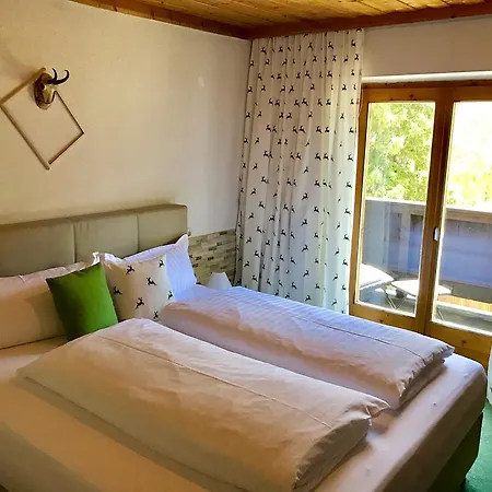 酒店 施瓦泽阿德勒酒店 佩特诺伊阿尔贝格