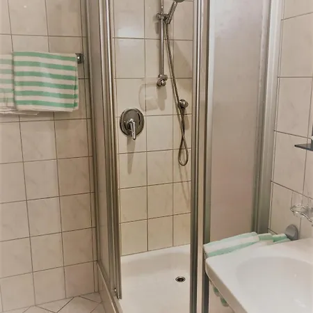 酒店 施瓦泽阿德勒酒店 3*