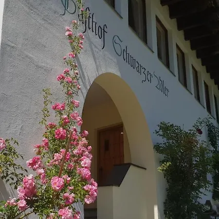 施瓦泽阿德勒酒店 酒店 3*