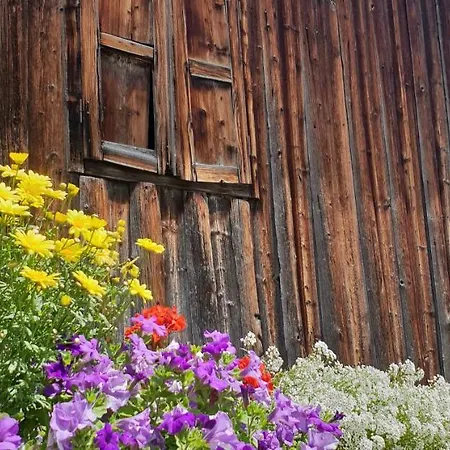 施瓦泽阿德勒酒店