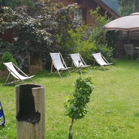 施瓦泽阿德勒酒店 酒店 3*