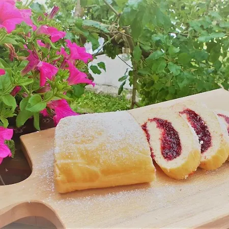 施瓦泽阿德勒酒店 酒店