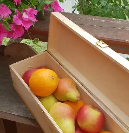 施瓦泽阿德勒酒店 3*