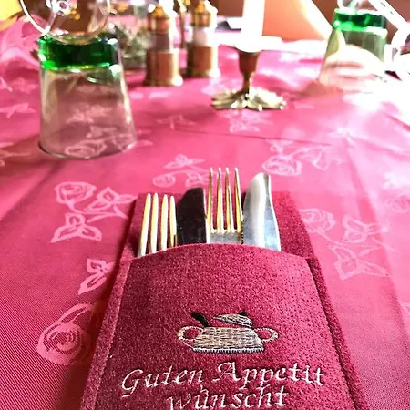 酒店 施瓦泽阿德勒酒店 3*