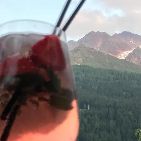 施瓦泽阿德勒酒店 酒店