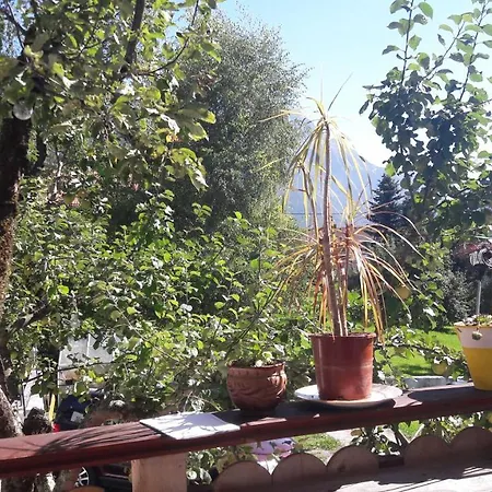 酒店 施瓦泽阿德勒酒店