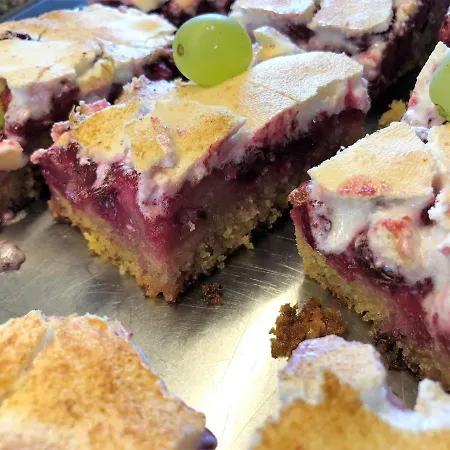 施瓦泽阿德勒酒店 酒店 佩特诺伊阿尔贝格