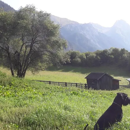 施瓦泽阿德勒酒店 酒店 3*