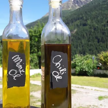 施瓦泽阿德勒酒店 酒店 佩特诺伊阿尔贝格