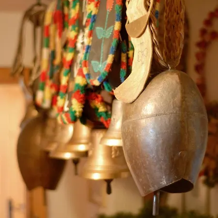 施瓦泽阿德勒酒店